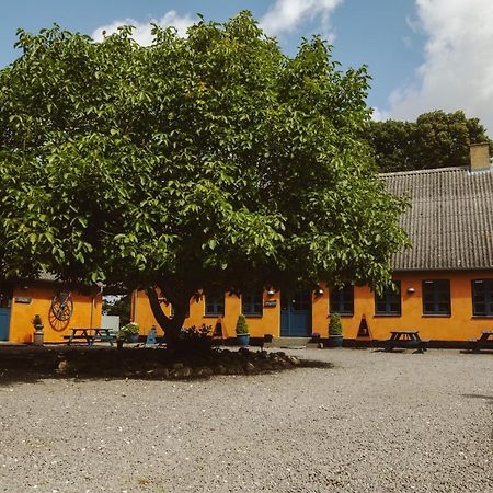 Stevns Klint Bed&Breakfast Store Heddinge Exterior foto